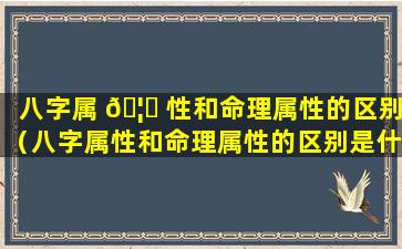 八字属 🦄 性和命理属性的区别（八字属性和命理属性的区别是什么）